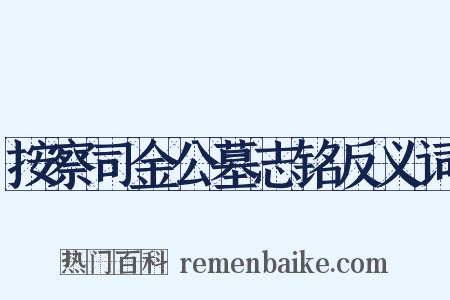 按察司金公墓志铭反义词是什么意思的图片
